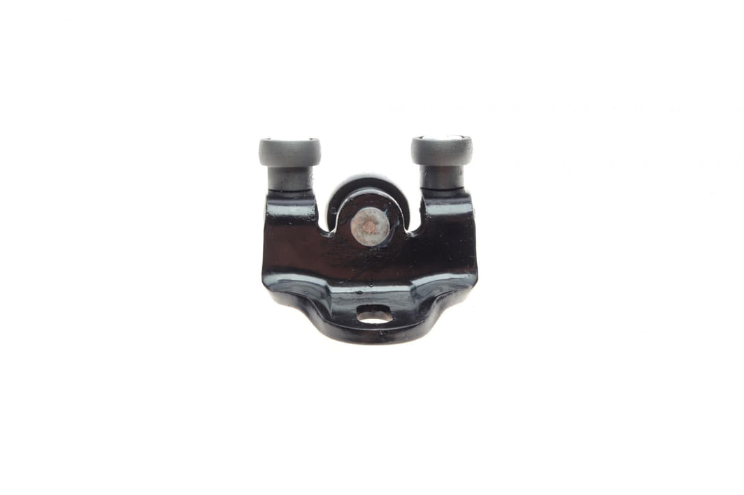 BS1819 Dp group